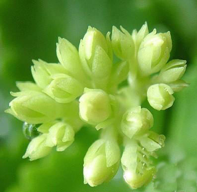 實力派學(xué)校