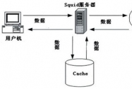 SQUID͸팍F(xin)(ni)W(wng)LInternet
